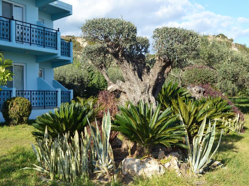 Argiro Village Afandou Exterior foto